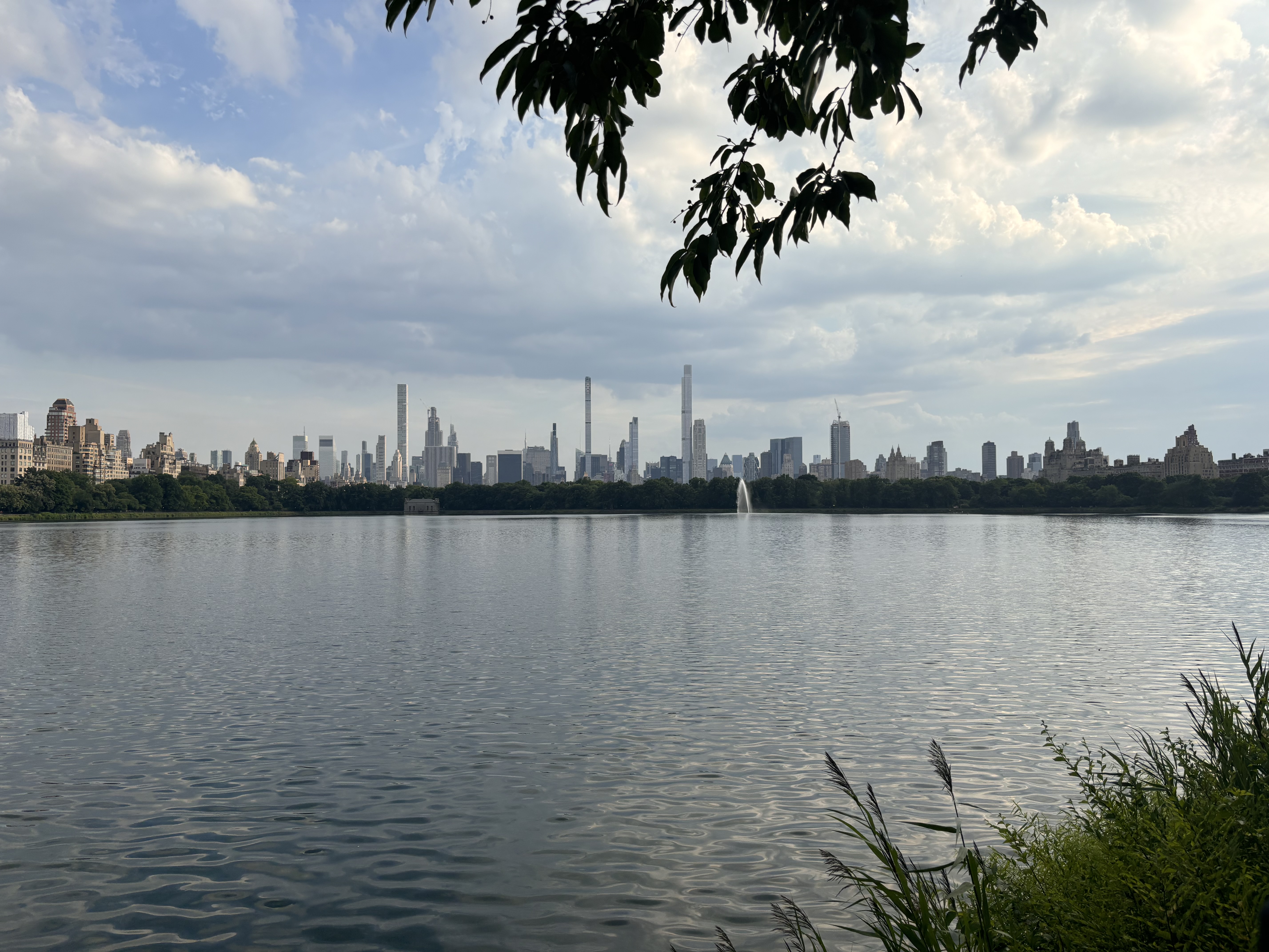Views from Central Park